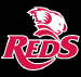 Reds vs British & Irish Lions, Preview and Betting Tips
