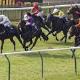 Turffontein, Saturday 21st September, Punters Challenge, Winning Form South African Horse Racing Tips