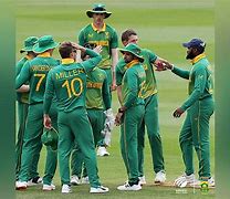 Proteas